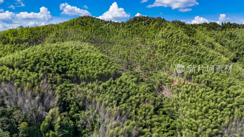 大自然青山绿水蓝天白云金山银山航拍