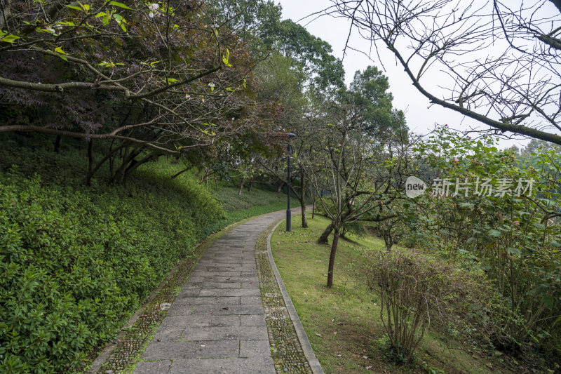 杭州三台山乌龟潭风景