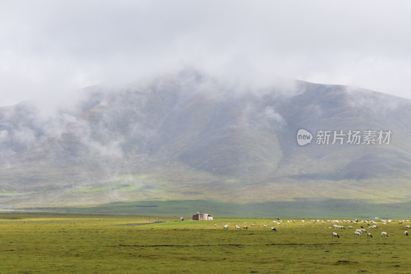 青藏高原青海祁连山脉天境祁连雪山雪景