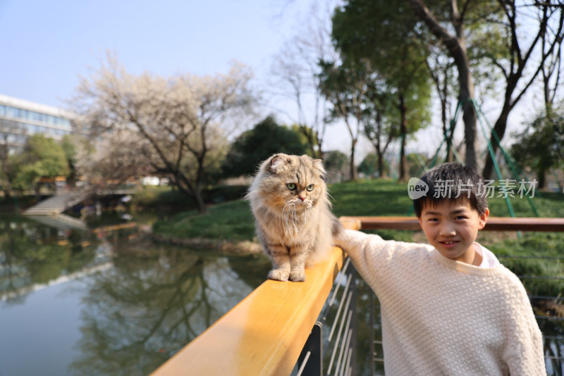 小男孩与栏杆上的宠物猫互动的温馨场景
