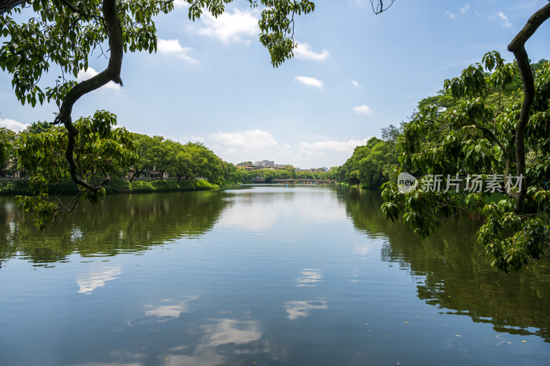 夏季白天广东潮州西湖公园园景风光