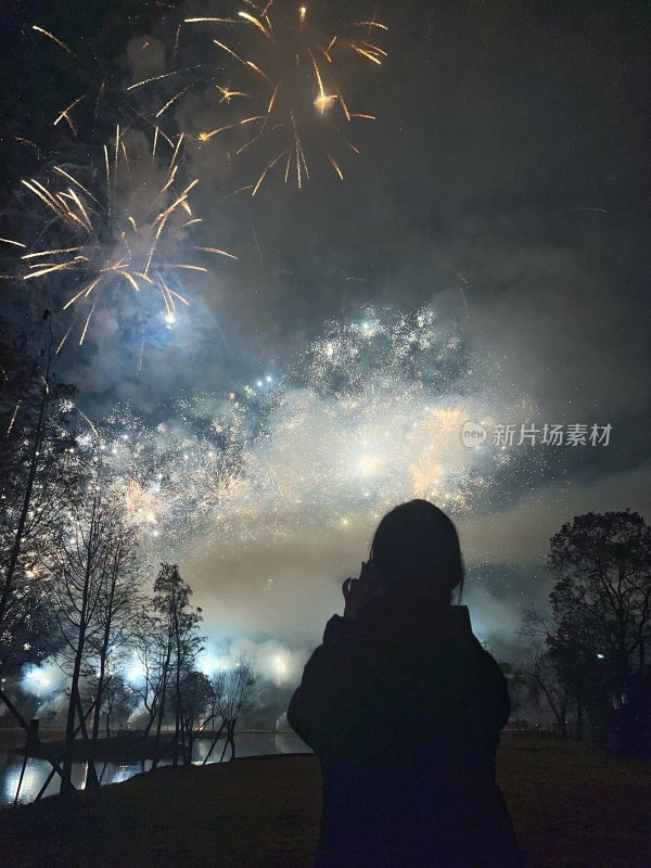 女子观赏璀璨烟花的唯美背影