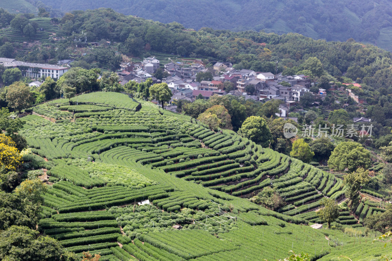 杭州南高峰俯瞰青山茶园自然风光