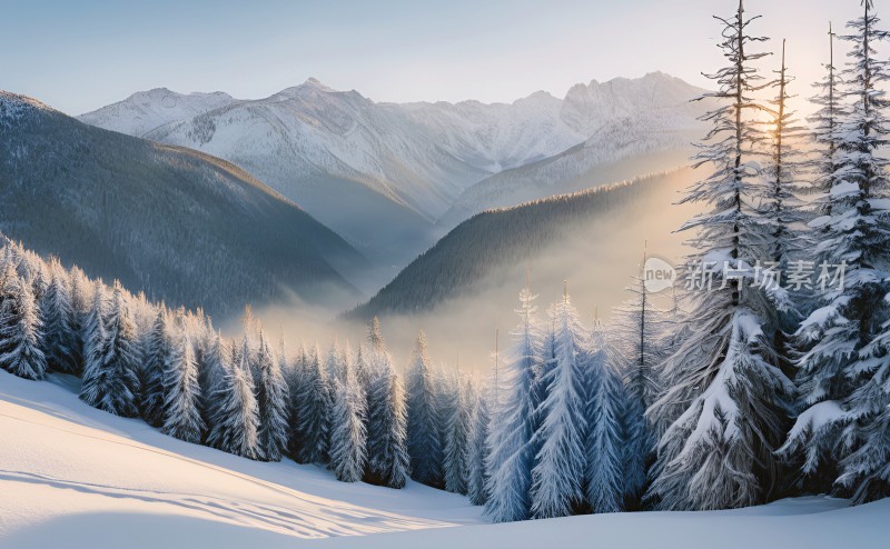 冬季森林白雪覆盖风景