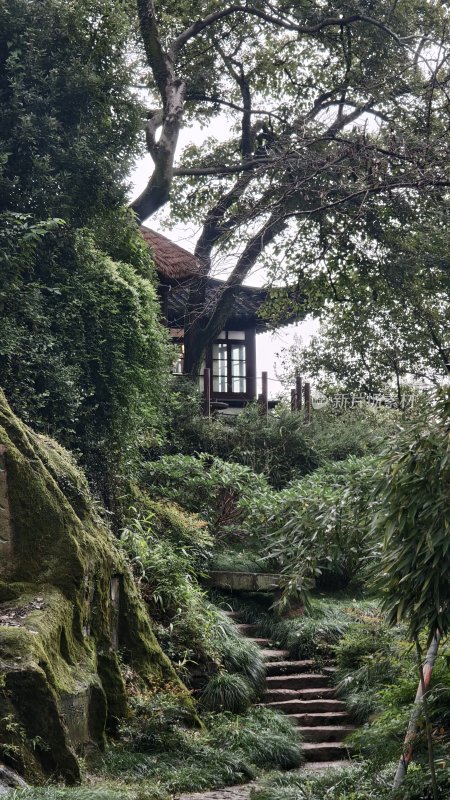 林间小径旁的古朴小屋