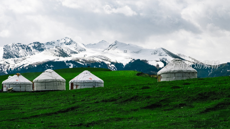 新疆伊犁雪山下草原上的哈萨克族毡房