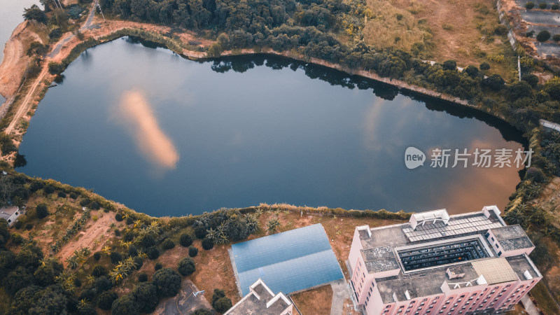 仰恩大学