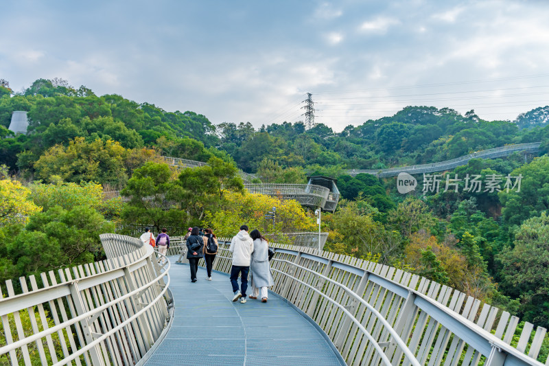 福州福道山林中蜿蜒的观景步道