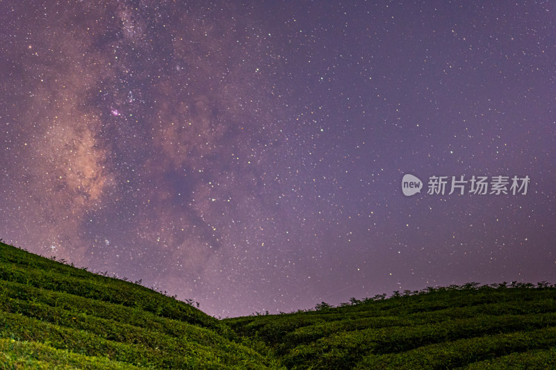 茶园夜景星空银河