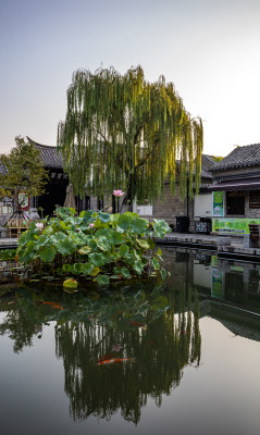 山东济南曲水亭街百花洲景点景观