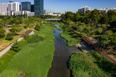 深圳大沙河茶光段