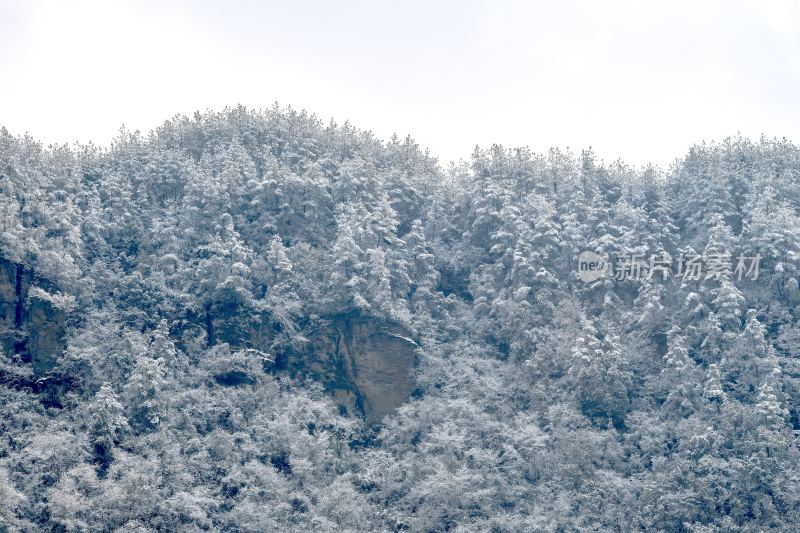 重庆酉阳：绵延青山披白纱