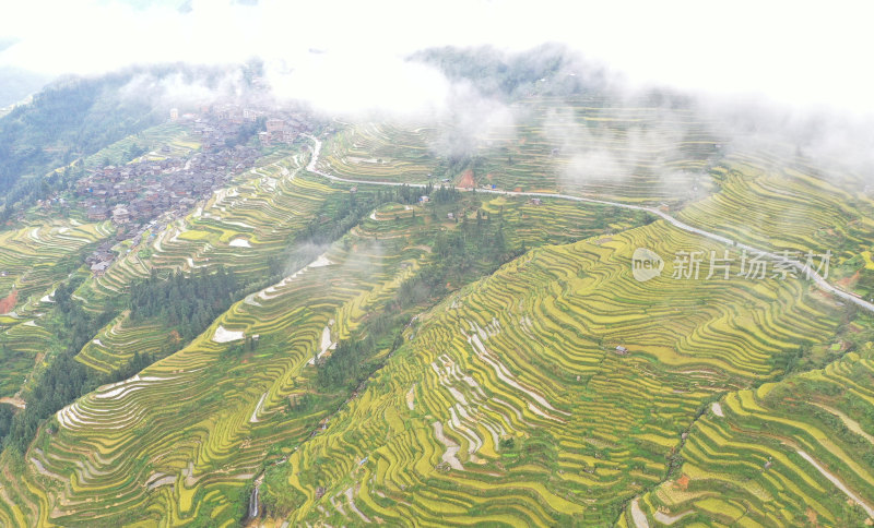 黔东南梯田航拍贵州风光加榜梯田原生态地