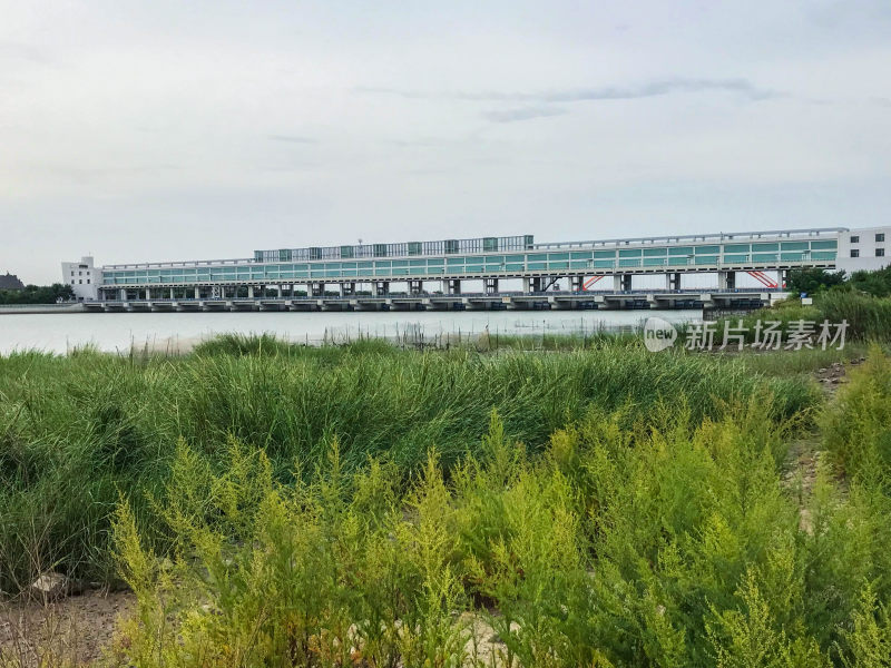 水边大型建筑与绿植景观