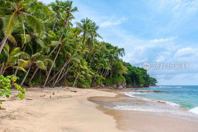 海滩沙滩海岸线