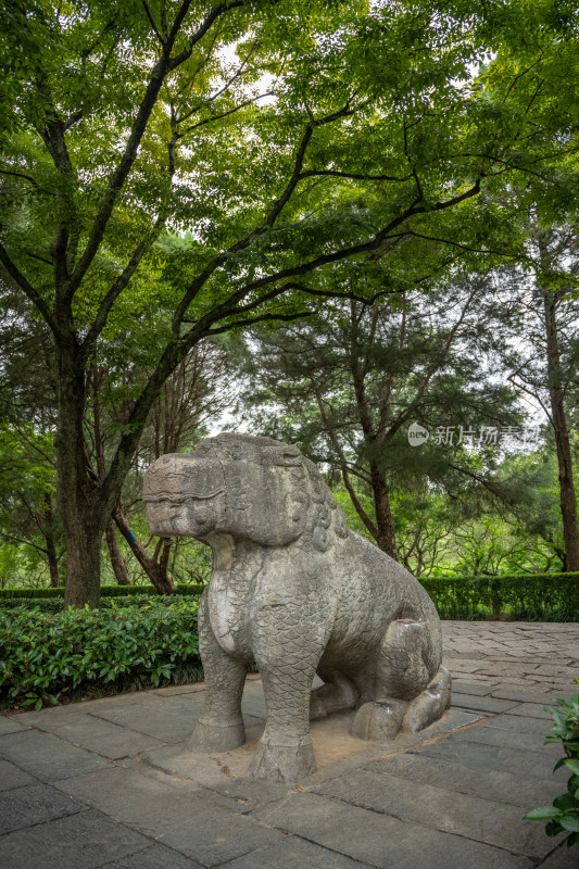 南京钟山明孝陵景区石像路夏季獬豸