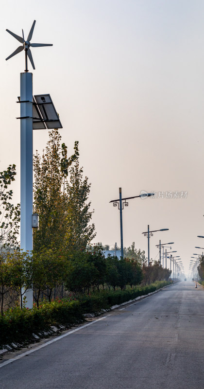 道路上整齐排列的中式路灯