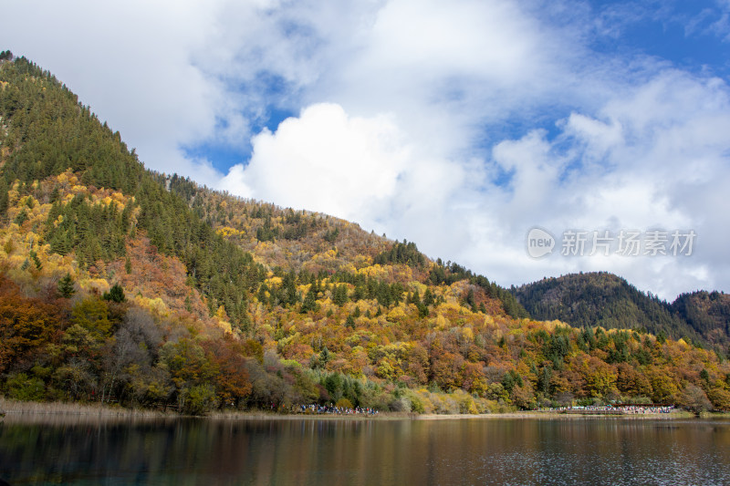 九寨沟秋色，五花海彩林层林尽染湖光山色