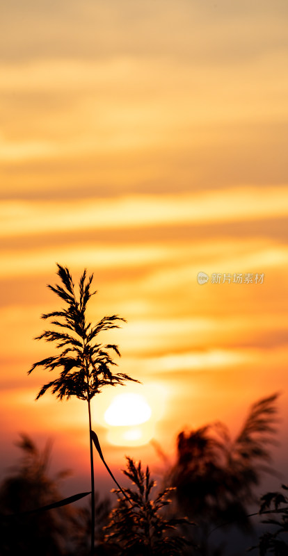 湖面夕阳落日风光