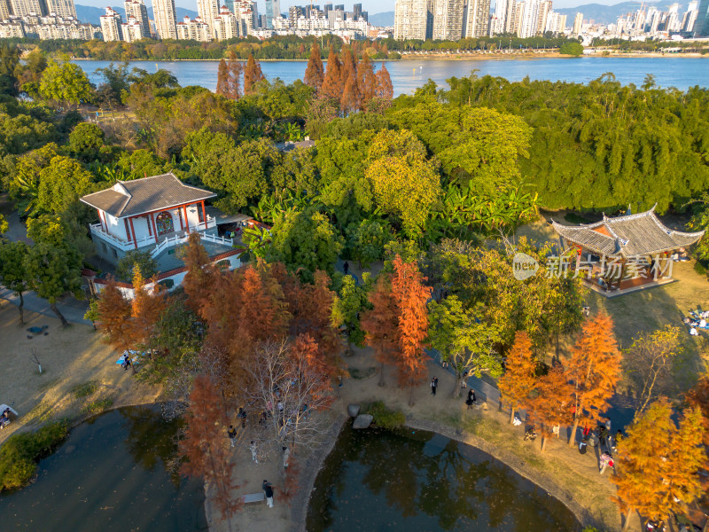 福州城市中色彩斑斓的树林全景