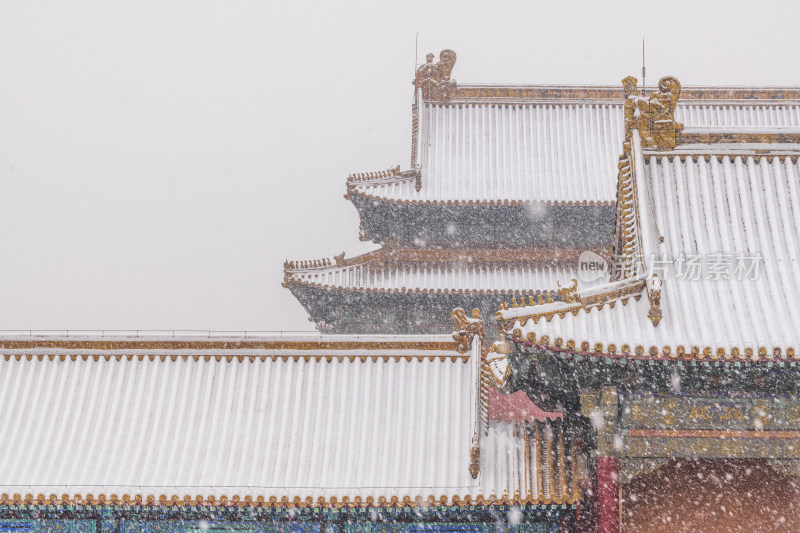 北京 故宫 博物馆 大雪纷飞