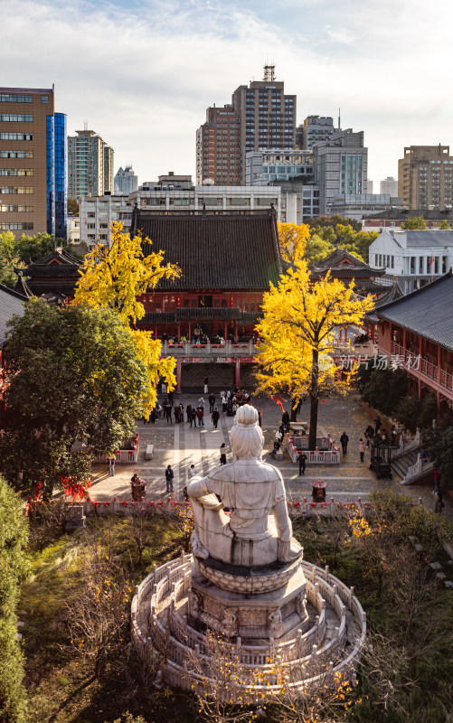 南京毗庐寺秋天屋顶视角下的城市风光与绿植