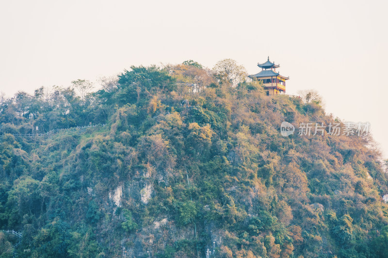 广西柳州驾鹤山-山上秋季变色的树叶