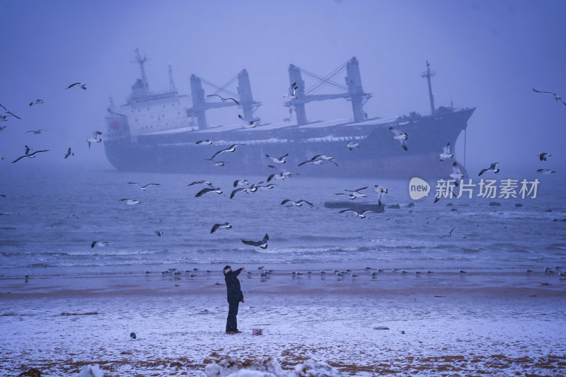 山东威海布鲁威斯海湾雪中喂海鸥的游客