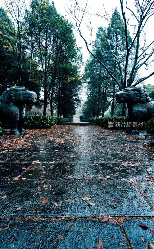 秋日石象景观小道雨中明孝陵