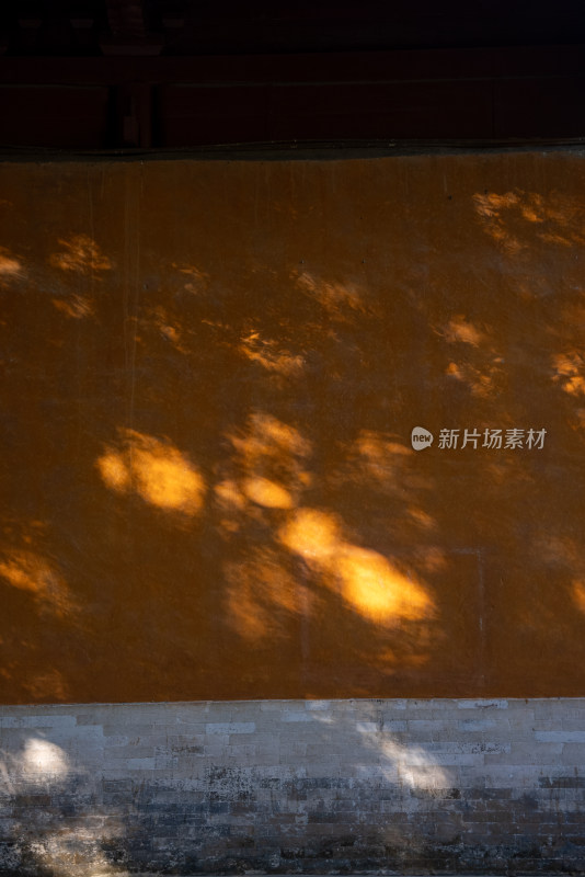 暖黄色墙面上斑驳的树影