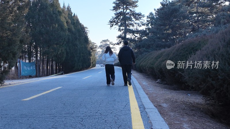 情侣林间道路漫步背影