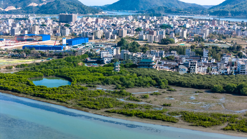 惠州市盐洲海洋湿地公园-红树林航拍