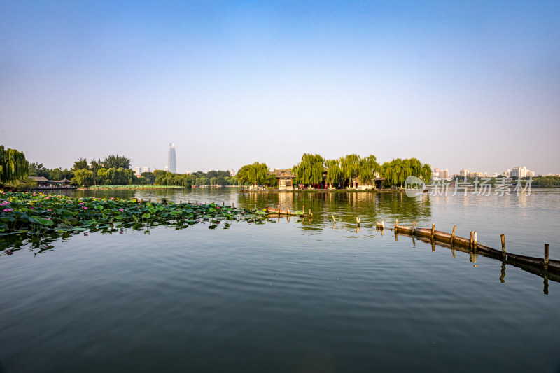 山东济南大明湖风景区自然景观与城市风光