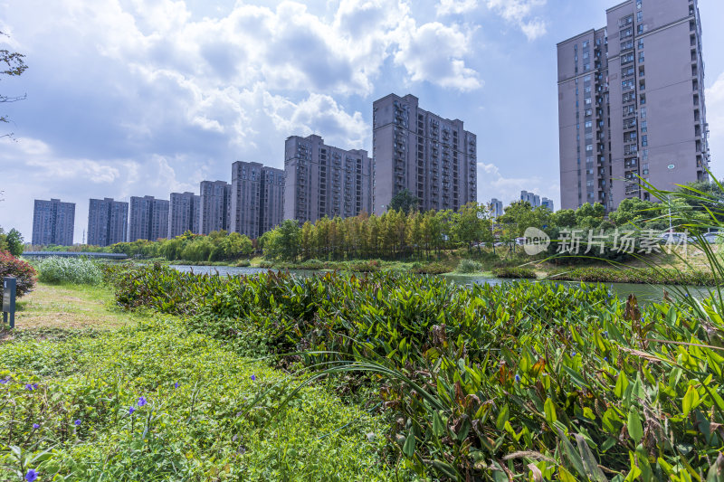 武汉洪山区巡司河活水公园风光