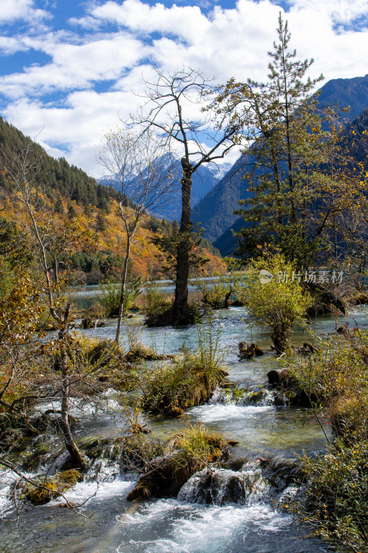 九寨沟秋色，犀牛海山林流水山景