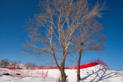 冰天雪地