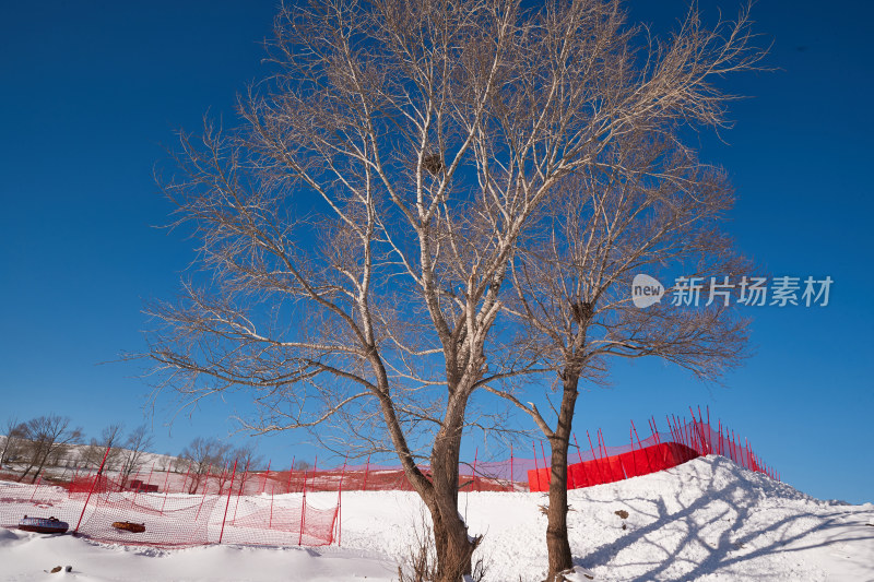 冰天雪地