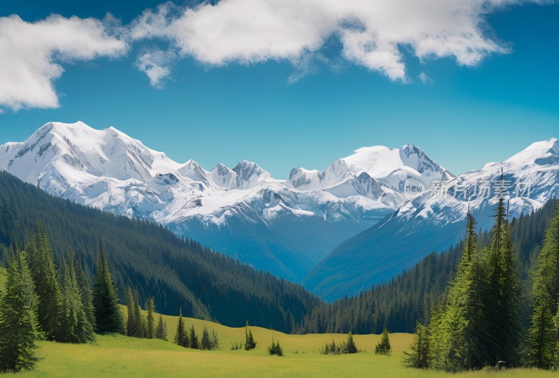 雪山高原草原森林风景