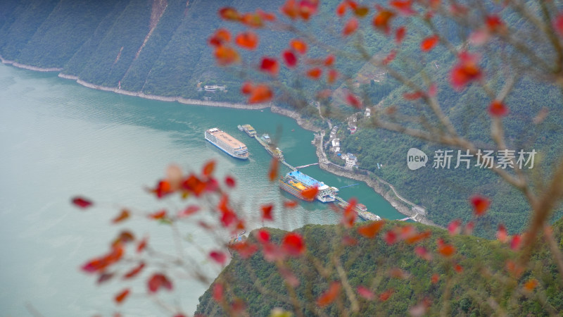 长江三峡巫峡红叶