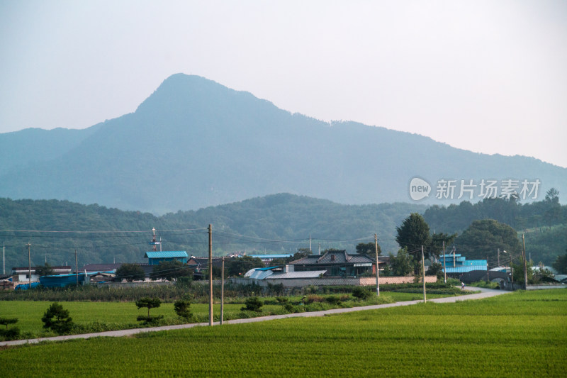 韩国南原乡村农田