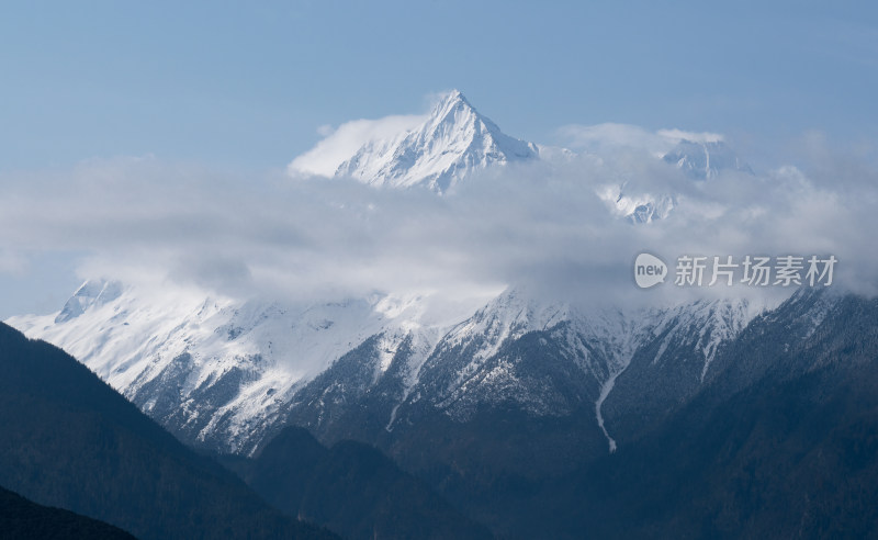 西藏林芝多雄拉山特写