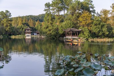 杭州西湖风景区曲院风荷风景