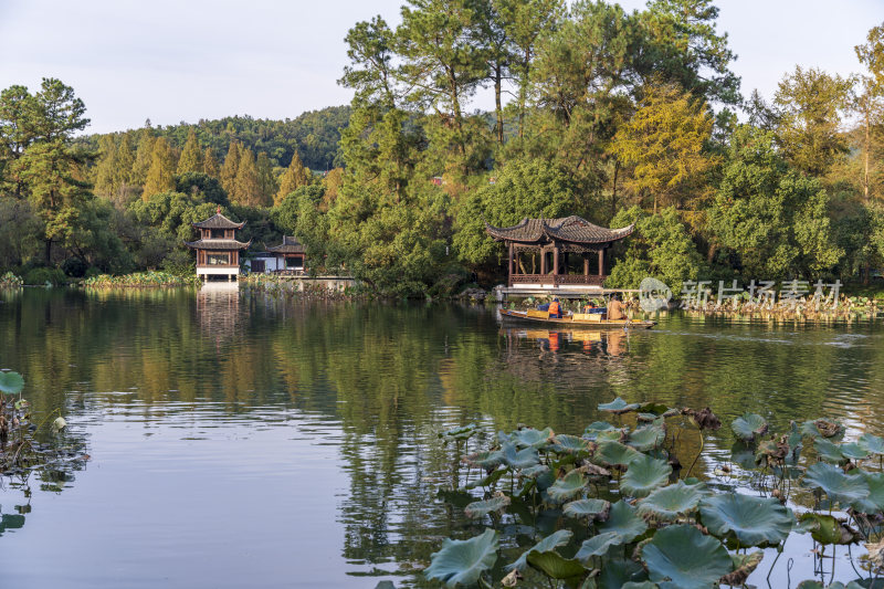 杭州西湖风景区曲院风荷风景