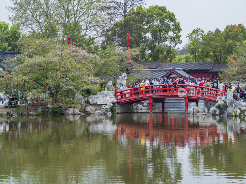 武汉东湖风景区景点风光