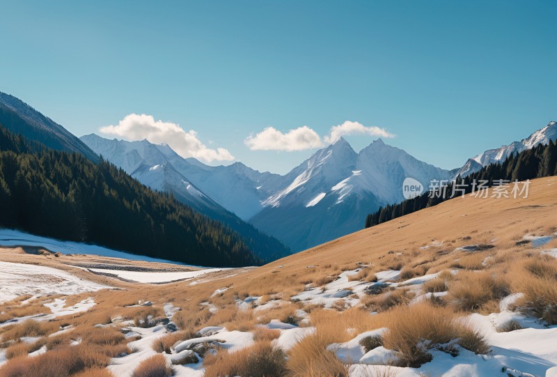 雪山高原草原森林风景