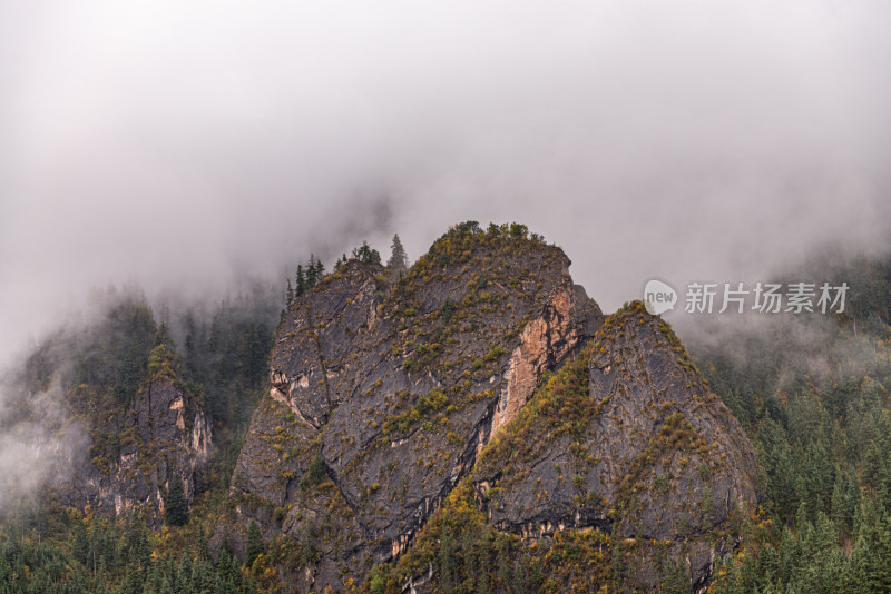 云雾缭绕的山峰森林