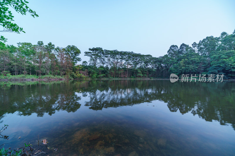 广州番禺大夫山森林公园水塘湖泊树林