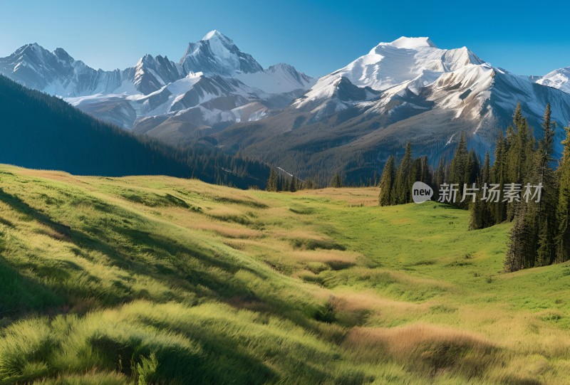 雪山高原草原森林风景