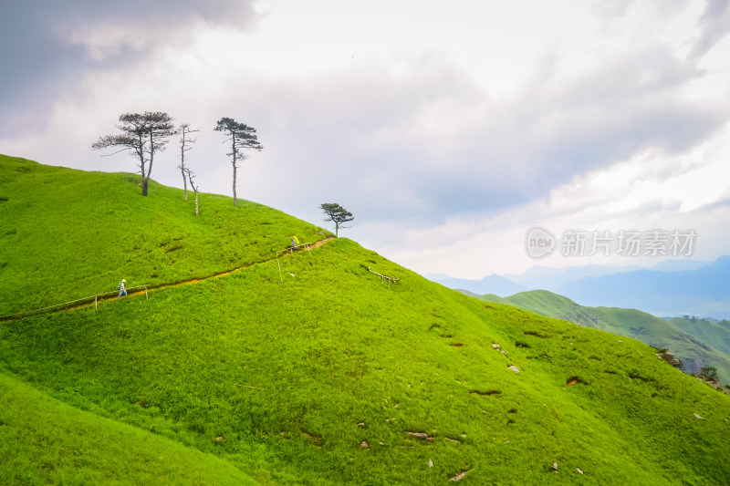 江西武功山高山草甸