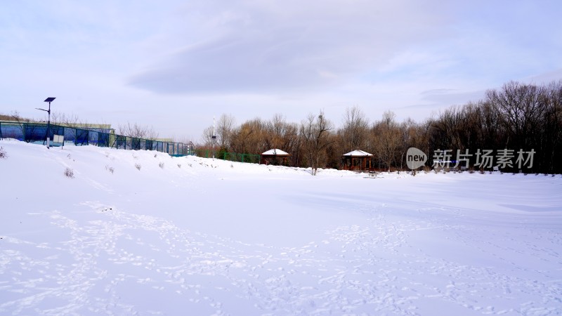 林海雪原